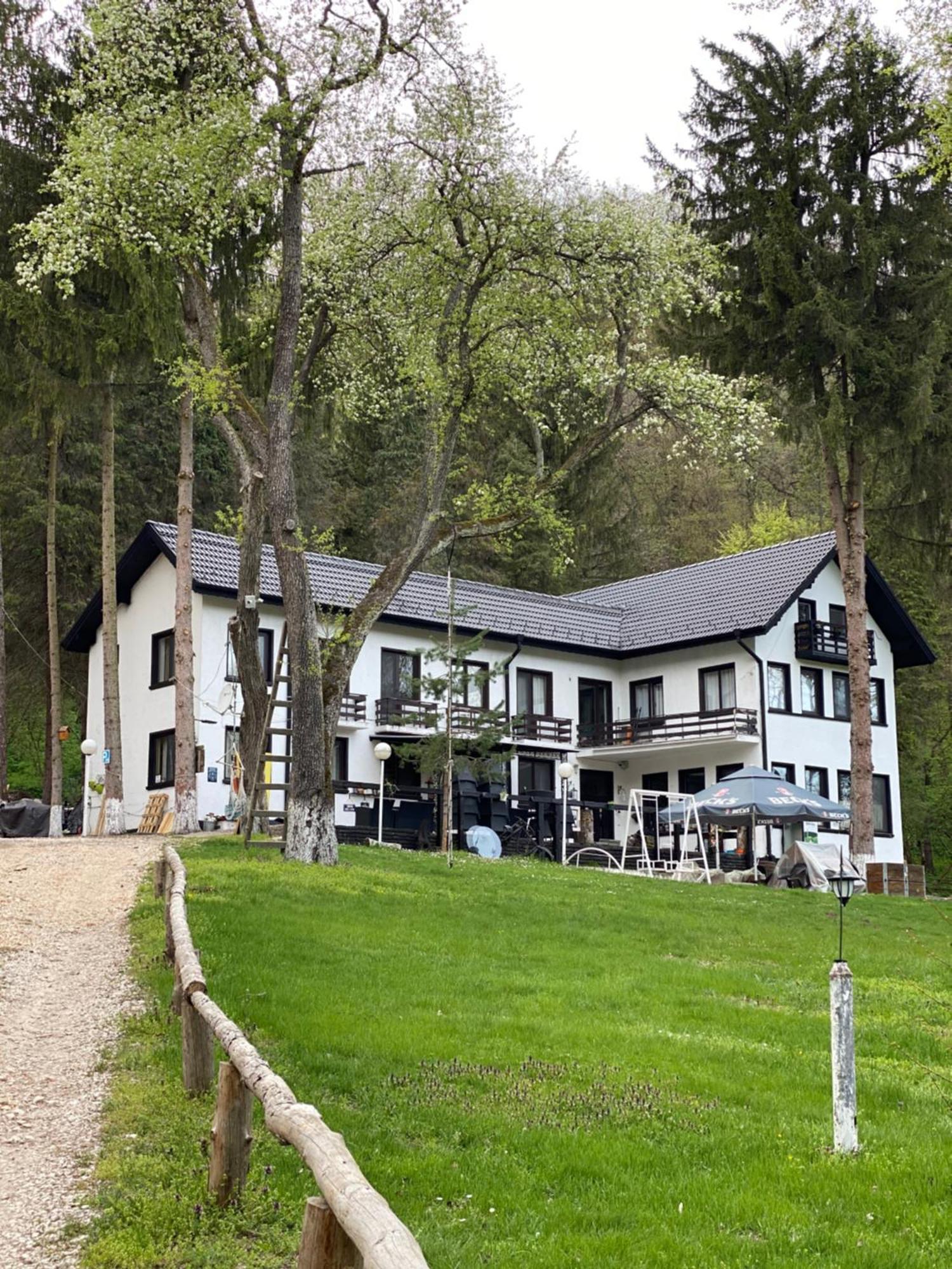 Starite Borove Villa Sinagovtsi Buitenkant foto